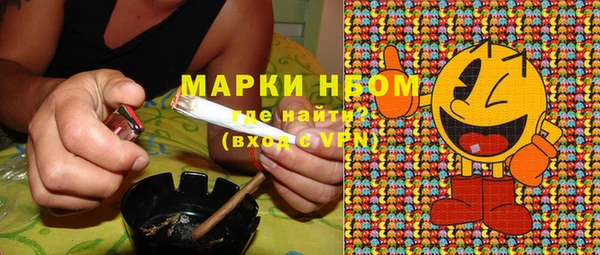 прущий лед Костерёво