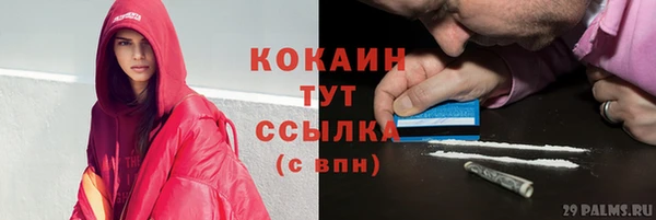 ешки Козельск