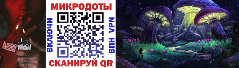 blacksprut зеркало  купить   Костерёво  Галлюциногенные грибы Psilocybe 